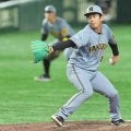 ドラ1左腕、育成投手の躍進　野手は1軍出場ゼロ…阪神ルーキーの明暗
