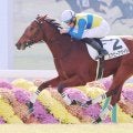 【私の推し馬】牝馬３冠戦線に進んでほしいエアビーアゲイル　半兄は大阪杯連覇のベラジオオペラ