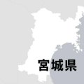 宮城・聖和学園が3回戦進出、徳島市立に3-1で勝利　高校サッカー
