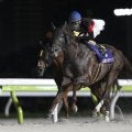 【川崎マイラーズ枠順】マイルグランプリの覇者ゴールドレガシーは8枠10番