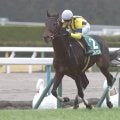 京都金杯勝ち時計ランキング 1位は勝ち馬の末脚光った14年の一戦