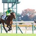 【私の推し馬】力強いガッツポーズは１年目史上、最上級にしびれた！佐藤悠調教師期待のコレオシークエンスに ◎つける！