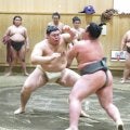 大の里が稽古始め　若い衆２人を相手に10勝２敗「正月を感じなかった」視線はすでに初場所