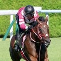 【馬トク報知３歳馬番付】ヤマタケ記者は樫の女王に未勝利馬を抜てき　坂本記者は最後まで国枝厩舎推し