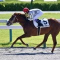 武豊騎手 今週の騎乗馬…土日で16鞍