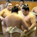 幕内・平戸海、新年初稽古で豊昇龍らと１８番「今年は三役、二桁勝利目指して頑張りたい」