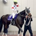 【注目馬動向・古馬】アウトレンジはドバイ・ワールドＣが目標　シトリンＳ勝ちのムルソーは佐賀記念を本線に調整