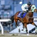 【川崎・川崎マイラーズ結果】アランバローズが9馬身差逃げ切りV！重賞5勝目を挙げる