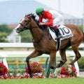 【フェアリーS想定馬・騎手】ブラックチャリス、ギリーズボールなど18頭