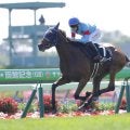 【中山金杯】4連勝中カネラフィーナは3枠3番
