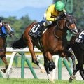 【中山金杯予想】大阪杯などにつながる登竜門
