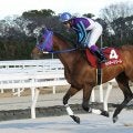 【園田・新春賞】ラッキードリーム復活V…8歳馬が意地の押し切り