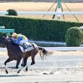 【中山３Ｒ・３歳新馬】「年末の締めも新年最初も…」大井の矢野貴之騎手がエアサロメを７馬身差圧勝に導く