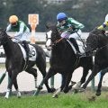 【京都5R新馬戦結果】単勝170.6倍、13番人気のタイキルッジェーロがV リオンディーズ産駒