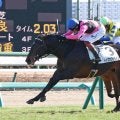 【中山６Ｒ・３歳新馬】トップオブザライン初陣Ｖに陣営驚き　三浦皇成騎手「ここで勝ってしまうのはびっくり」