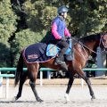 日曜中山競馬場の注目激走馬…中山１１Ｒ中山金杯・Ｇ３