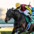 【中山金杯】ハナ差決着！カラマティアノス写真判定の激戦制し重賞初V…津村「いいポジションを取れたのが最大の勝因」