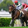 23年のダービー馬タスティエーラが登録抹消 優駿スタリオンステーションで種牡馬入り