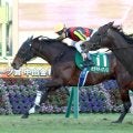【中山金杯】カラマティアノス、わずか２センチの鼻差でうれしい重賞初制覇　