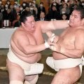 大関・琴桜が横綱大関同士の稽古で１２番　横審の大島委員長「待つ相撲より前に出る相撲のように感じた」