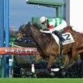 月曜中山競馬場の注目激走馬…中山１１Ｒサンライズステークス