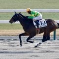 【京都7R】14番人気が激走！ルクスフレンジーが豪快な差し切りV