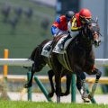 【シンザン記念登録馬】モノポリオなど18頭