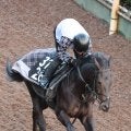 【シンザン記念・理貴の特注馬】経験豊富なルートサーティーン　淀のマイルで重賞初制覇に期待