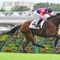 【フェアリーS見どころ】将来性豊かな血統馬ノーザンタイタンが混戦を断つ
