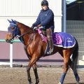 【シンザン記念・水納の特注馬】前走ノーステッキで７馬身差Ｖ　ディアダイヤモンドは重賞でも通用する逸材　