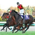 【ＪＲＡ賞】“三つどもえ”予想の最優秀３歳牡馬はミュージアムマイルが圧倒　唯一のＧ１・２勝が高評価