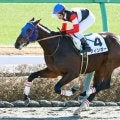 【注目馬動向】大差圧勝で初白星を挙げたフィンガーはブルーバードＣへ　重賞に初挑戦