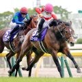 ２２年のＮＨＫマイルＣ勝ち馬ダノンスコーピオンが南アフリカで種牡馬入り　福永調教師「勉強させてもらった」