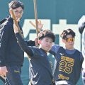 阪神　ＳＧＬが立石を含む新人フィーバー　平日の午前に来場者が約８００人　８日も内野スタンドを無料開放予定