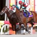 ダートグレード競走５勝のグランブリッジが競走馬登録を抹消　今後は追分ファームで繁殖入り