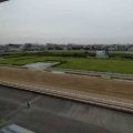 浦和競馬で実況泣かせの珍名馬対決にＳＮＳ爆笑「トラップな実況過ぎる」「ワイド馬券を衝動買い」