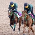 【フェアリーＳ】１戦１勝ファンクションが軽快に併入　斎藤誠調教師「前走よりも前向きさが出てきた」