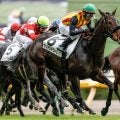 【フェアリーS出走馬・騎手確定】サンアントワーヌ＆戸崎圭太騎手、ブラックチャリス＆津村明秀騎手など16頭