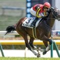 【シンザン記念出走馬・騎手確定】モノポリオ＆C.ルメール騎手、アルトラムス＆岩田望来騎手など16頭