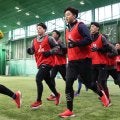 【広島】新人９選手が合同自主トレ初日ドラ１平川蓮「１年通して勝負できるフィジカルと体力を」