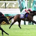 ダノンスコーピオンが南アフリカで種牡馬入り
