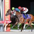 牝馬ダート重賞5勝のグランブリッジが登録抹消 今後は追分ファームで繁殖馬になる予定