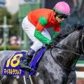 【迎春S】23年の若駒S覇者のマイネルラウレア 待ちに待った2年1カ月ぶりの実戦だ