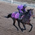 【フェアリーＳ】唯一の２勝馬サンアントワーヌは５枠９番　ギリーズボールは６枠１２番　枠番確定