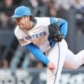 【日本ハム】WBCメンバー伊藤大海と自主トレ中の金村尚真「より敬いたい」おみくじの言葉受け