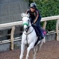 【注目馬動向】ガイアフォースはドバイ・ターフかフェブラリーＳへ　ルガルはオーシャンＳで始動し、豪州遠征を視野