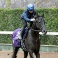 【注目馬動向】クロワデュノールがドバイ・ワールドＣとシーマクラシックに予備登録　選択肢を増やすため