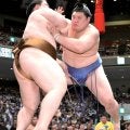 大の里が張った伏線だったのか　昨年３勝３敗、難敵退治が初場所初Ｖへ序盤戦のカギ…担当記者が占う