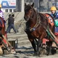 【ばんえい十勝】ルーキー臼杵龍美騎手初勝利