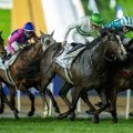 ソウルラッシュが引退、種牡馬入り